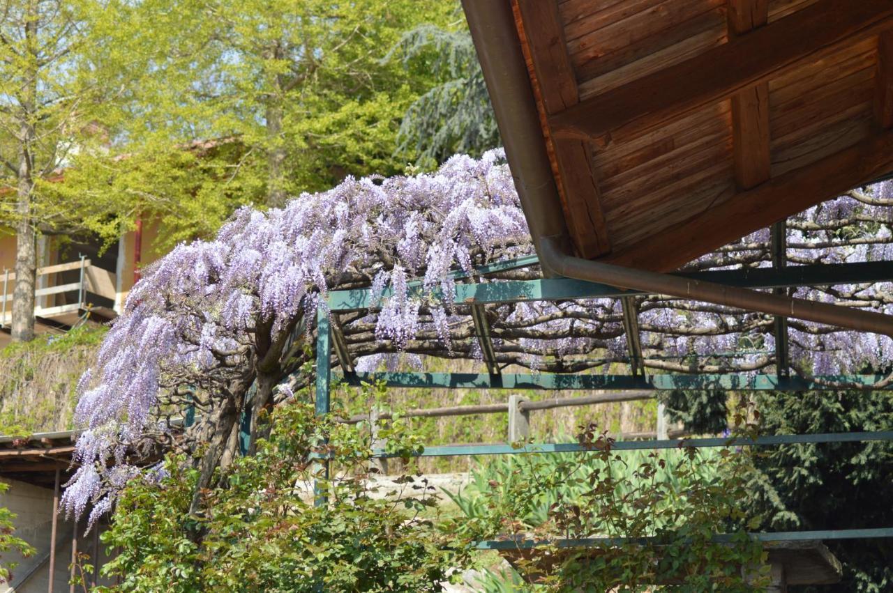 BuscaL'Uovo E La Faina住宿加早餐旅馆 外观 照片